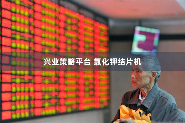 兴业策略平台 氯化钾结片机