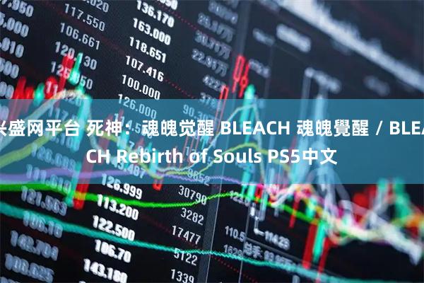 兴盛网平台 死神：魂魄觉醒 BLEACH 魂魄覺醒 / BLEACH Rebirth of Souls PS5中文
